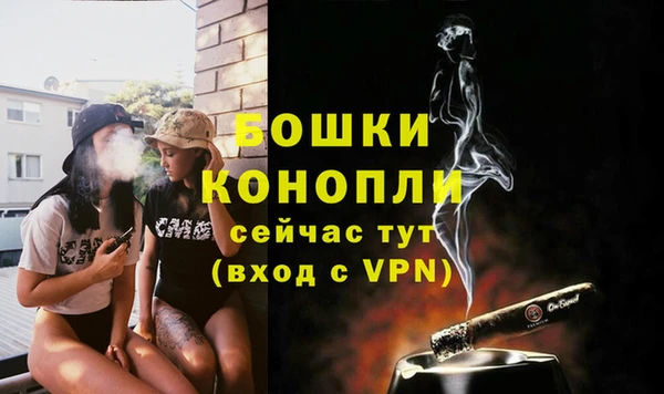 эйфоретик Богородск