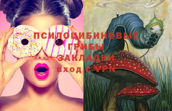 дживик Богданович
