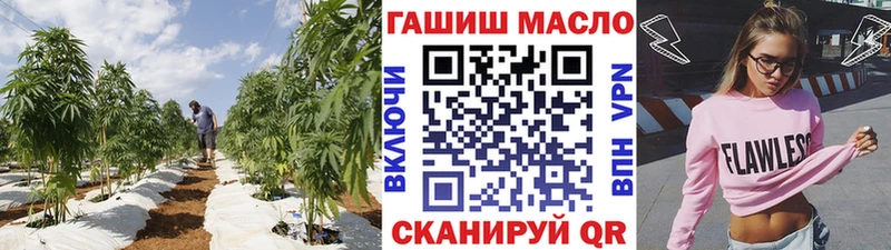 ТГК гашишное масло  Купить где  Кирс 